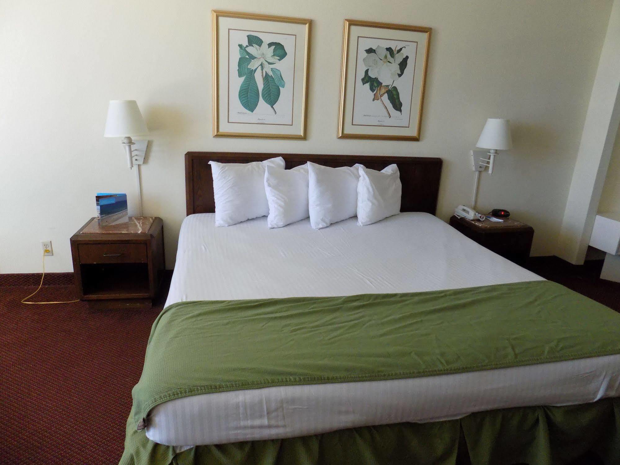 Oceanside Inn Daytona 代托纳海滩 外观 照片